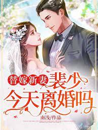 裴少娶了200斤胖子全文免费阅读