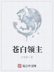 苍白领主卡片怎么获得